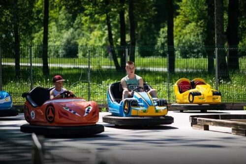 Adult Bumper Car Business in Park