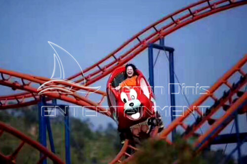 Crazy Mouse Roller Coaster for Family