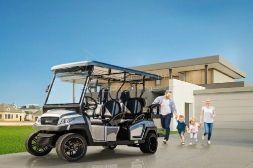 Hot Selling Electric Golf Buggy for Sale Popular with the Public