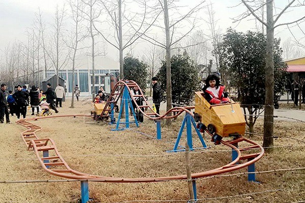 Human Powered Pedal Roller Coaster for Family in Park